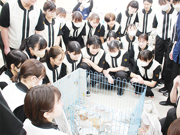 １年生出産に立ち会いました！